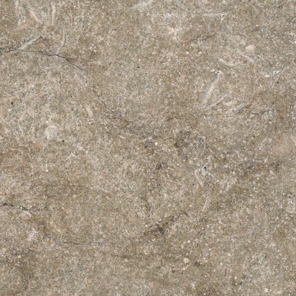 Limestone Pavers & Tiles